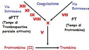 Tempo di Protrombina PT: Alto e Basso 